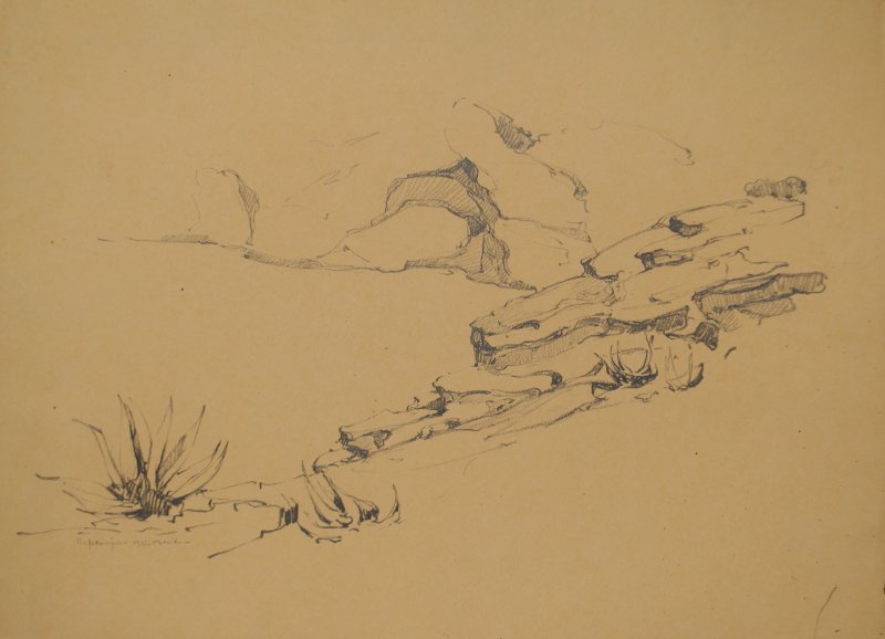 1927 - Rocce e agavi nella costa procidana
